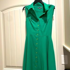 Worn once. Beautiful and rich Kelly green collared versatile dress.